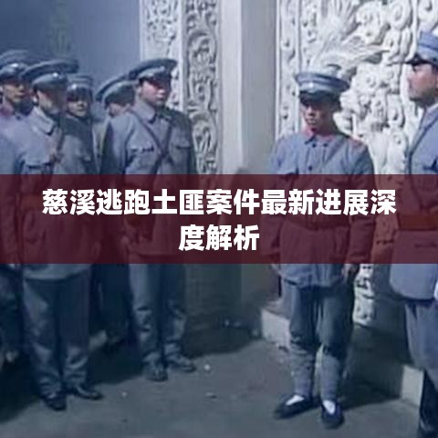 慈溪逃跑土匪案件最新进展深度解析