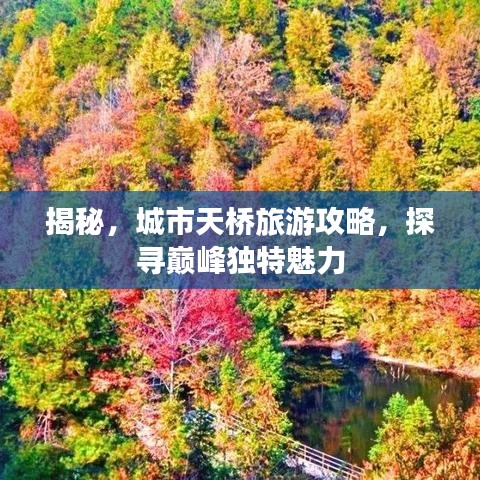 揭秘，城市天桥旅游攻略，探寻巅峰独特魅力