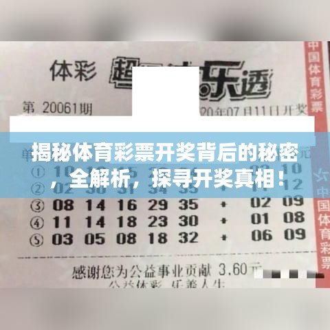 揭秘体育彩票开奖背后的秘密，全解析，探寻开奖真相！