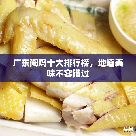 广东阉鸡十大排行榜，地道美味不容错过