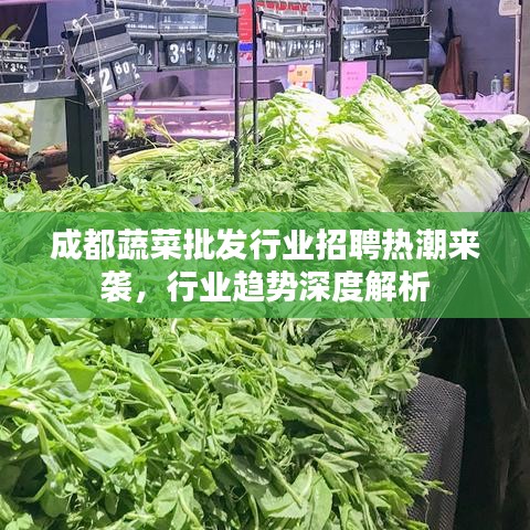 成都蔬菜批发行业招聘热潮来袭，行业趋势深度解析